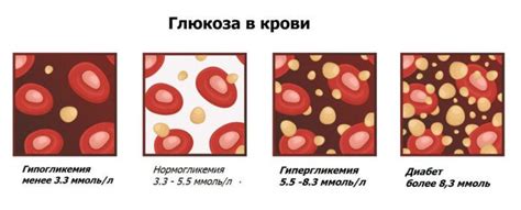 Влияние ингредиентов винегрета на уровень глюкозы в крови