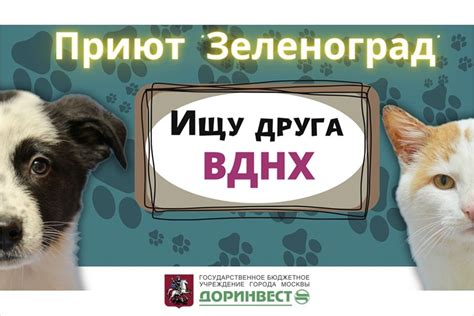 Влияние инстинкта на выбор места последнего приюта для питомцев