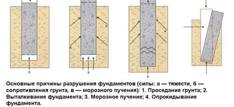 Влияние использования посудомойки на долговечность скороварки