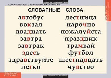 Влияние итальянской речи на словарные запасы других языков