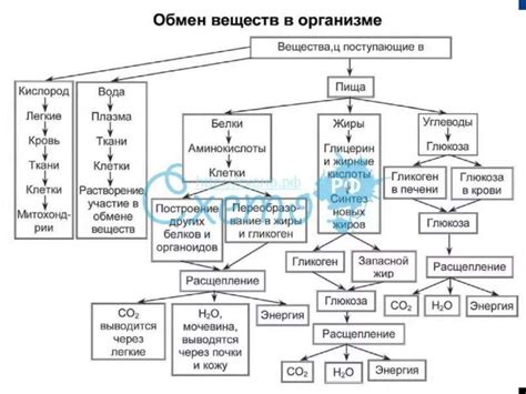 Влияние калия и магния на поддержание здорового давления