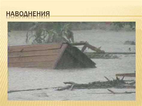 Влияние климатических условий Северного приморья на сельское хозяйство и флору региона