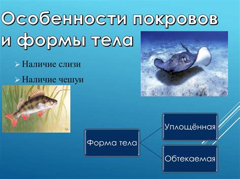 Влияние контекста и деталей сновидения на интерпретацию акта омывания в водной среде у женщин

