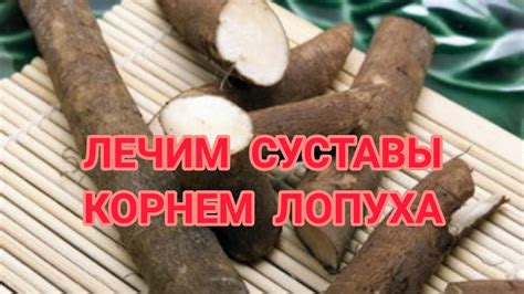 Влияние корня лопуха на организм: открытие уникальных свойств