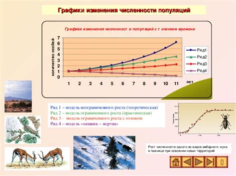 Влияние кошачьей популяции на количество других животных в городе