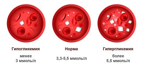 Влияние кукурузных палочек на уровень глюкозы в крови