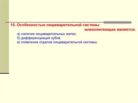 Влияние лимфатической системы на работу пищеварительной системы и обмен веществ