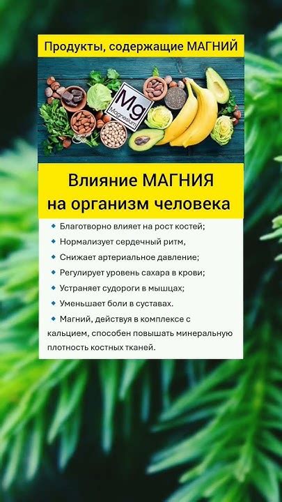 Влияние магния на организм