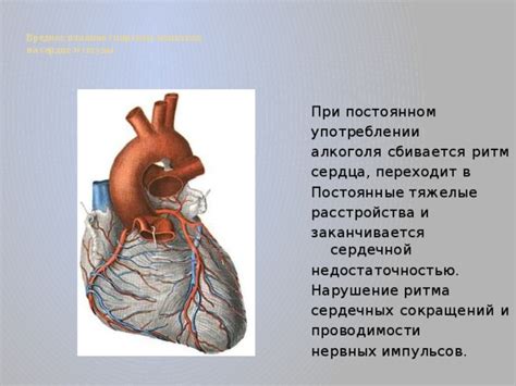 Влияние микроворсинок на передачу нервных импульсов