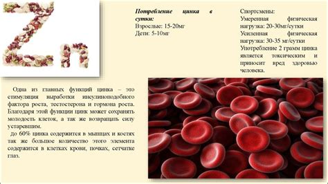 Влияние микроэлементов на функцию производства потомства у мужчин