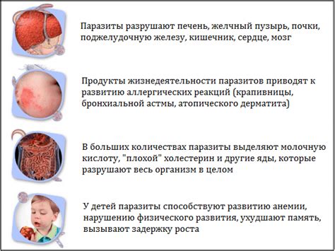 Влияние молока на передачу паразитов новорожденным