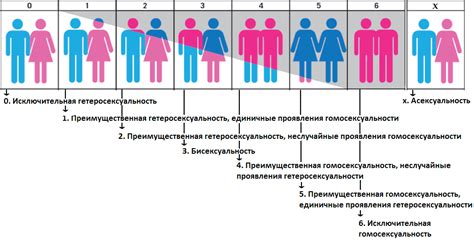 Влияние мужской области под пупком на формирование сексуальной ориентации