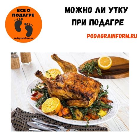 Влияние мяса утки на организм при подагре