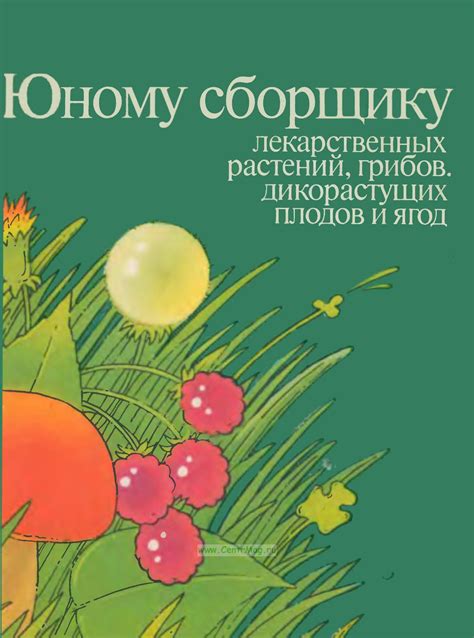 Влияние навыка охоты на обнаружение разнообразных плодов и ягод в виртуальной среде