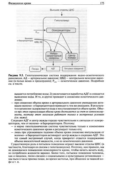 Влияние нагрева на биологическое значение белка