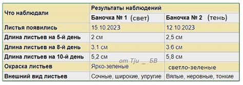 Влияние на развитие олимпийского движения и города Мюнхен