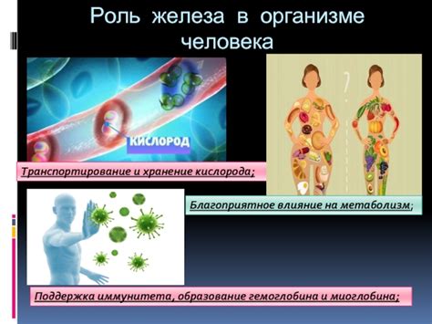 Влияние недостатка железа при нормализованных уровнях гемоглобина