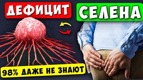 Влияние незакрытых мидий на организм: факты и рекомендации