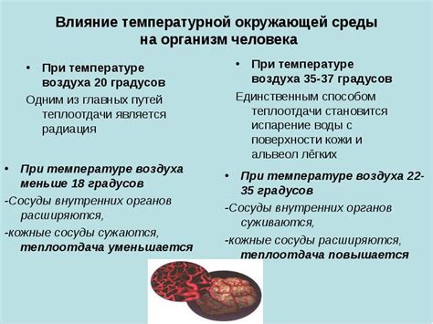 Влияние неправильной температурной среды на работу холодильника