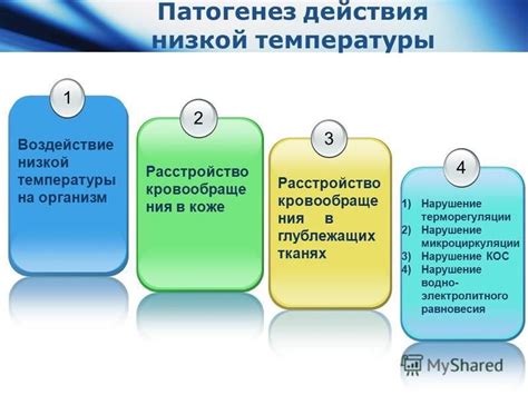 Влияние низких температур на срок хранения сушеных фруктов на балконе в холодное время года