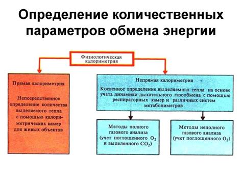 Влияние облепихового масла на обмен веществ