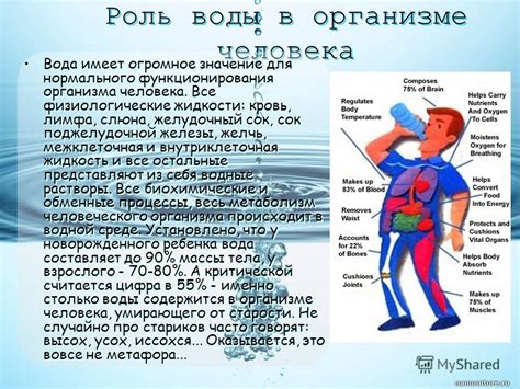 Влияние обогащенной воды на состояние организма человека