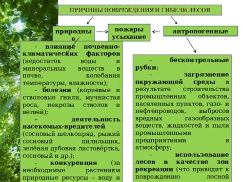 Влияние окружающей растительности