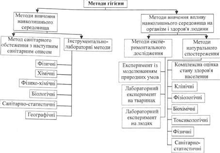 Влияние окружающей среды и методы воспитания