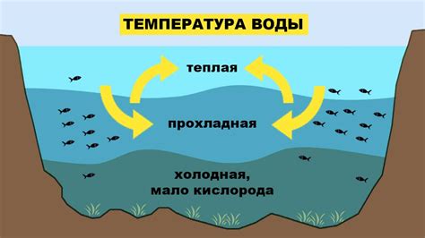 Влияние окружающей температуры на активность рыбы