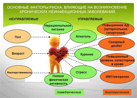 Влияние основных факторов на возникновение данного явления