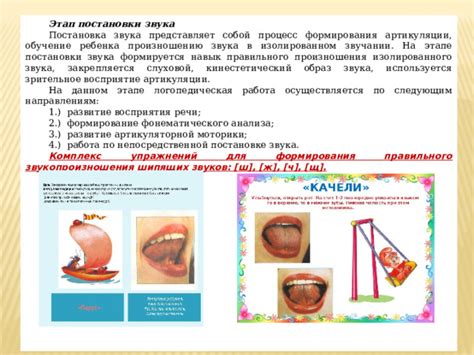 Влияние особенностей артикуляции на формирование звуков