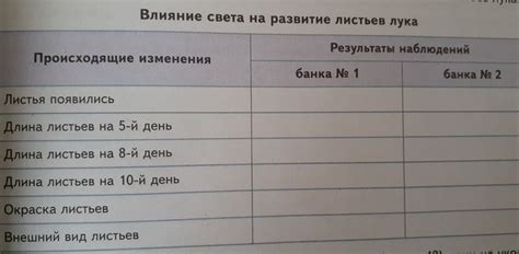 Влияние оставленных листьев на состояние газона