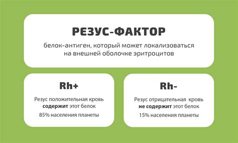 Влияние отрицательного Резус-фактора на здоровье ребенка и меры профилактики