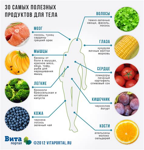 Влияние отсутствия питания на результативность тренировок