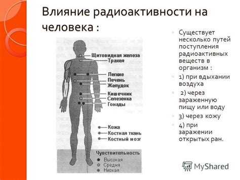 Влияние парения ног на проникновение веществ в организм через открытые поры