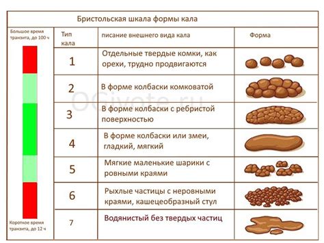 Влияние пигментов в свекле на цвет стула