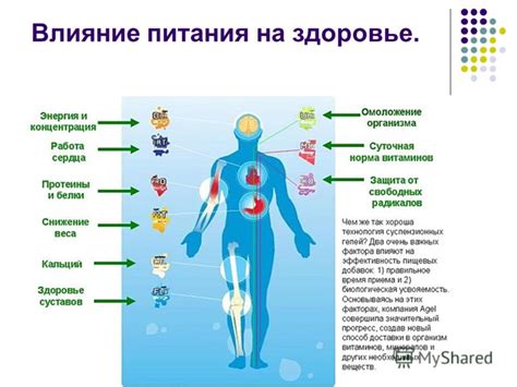 Влияние питания на основе резиновых материалов на организм человека