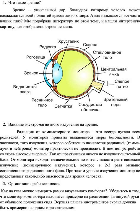 Влияние пищи на зрение: что происходит в визуальной системе