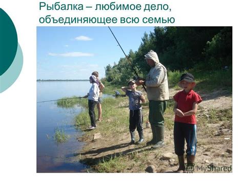 Влияние погодных условий на активность сома