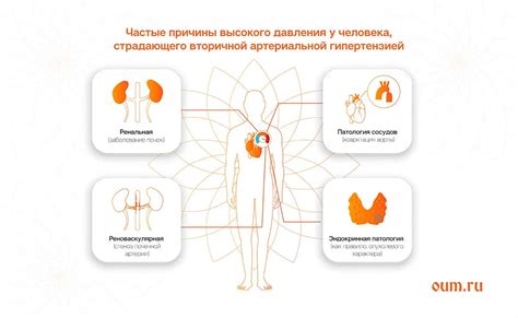 Влияние препаратов, вводимых через нос, на артериальное давление: научные данные