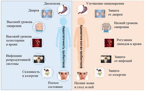 Влияние пробиотиков на организм: положительные эффекты и результаты