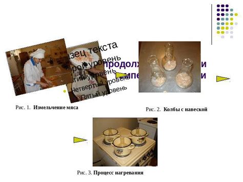 Влияние процесса варки на структуру мяса