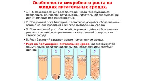 Влияние процессов офильтрования и очищения на уровень питательных элементов в воде