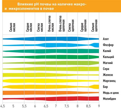 Влияние различных методов сохранения на содержание эссенциальных микроэлементов