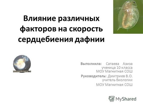 Влияние различных факторов на ощущение сердцебиения потомка