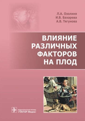 Влияние различных факторов на площадь учащихся четвертого класса