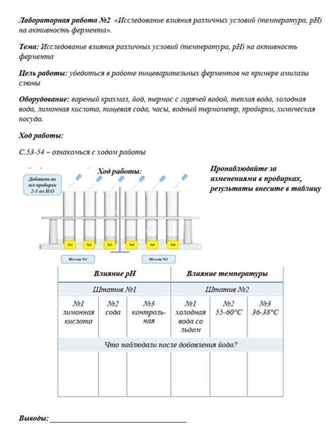 Влияние различных факторов на процесс исчезновения пузырей