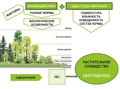 Влияние разнообразия грунтов на богатое растительное сообщество