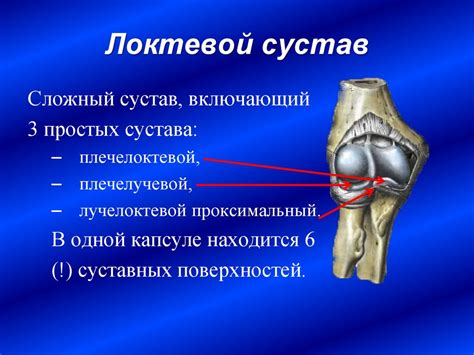 Влияние расположения сустава на двигательную активность: важность анатомической конфигурации