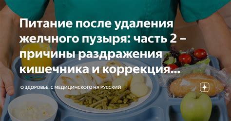 Влияние рациона питания на функцию кишечника